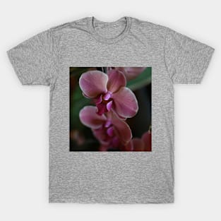 Shades of pink T-Shirt